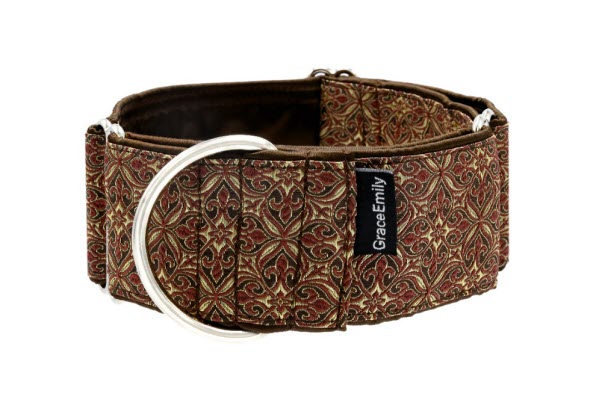 Wat is een martingale halsband? - Rapid Dog Wear