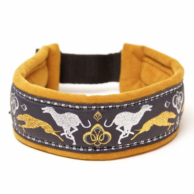 Halsband galgo l windhonden halsbanden
