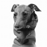 windhonden jas l DG DogGear regenjas windhond kaki
